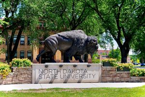 노스다코타 주립 대학교의 스포츠 팀은 노스다코타 주립 바이슨으로 알려져 있다.
