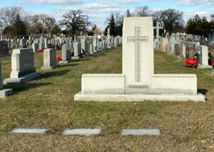 마운트 카멜 묘지에 있는 니티의 무덤