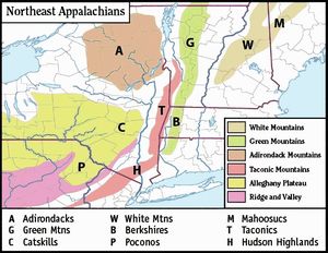 미국 북동부의 조산 운동