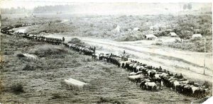 그리어슨의 습격자.