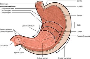위의 부분들을 보여주는 다이어그램
