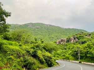 도시 서쪽의 아름다운 언덕