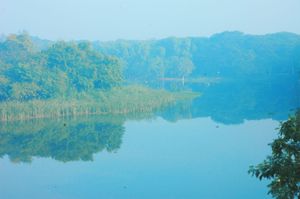 NTR 마나사 사로바람 공원, 난디벨루구 로드