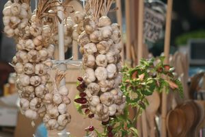 마늘은 전국적으로 인기가 많다.