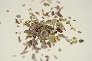 오레가노는 알바니아 요리에 가장 흔히 사용되는 허브 중 하나이다.