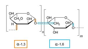 알파-글리코사이드 결합을 포함하는 당류