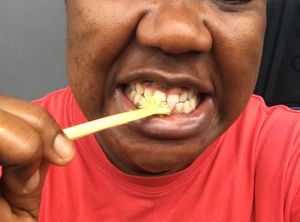 씹는 막대기로 이를 닦는 모습