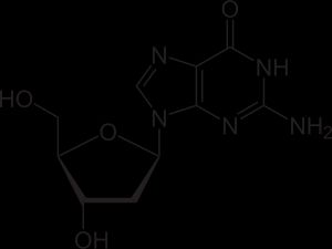 디옥시구아노신