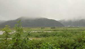 2018년 8월 내성천. 영주댐보다 하류인 영천군 상월리에서 촬영.