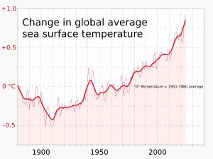 전 세계 평균 해수면 온도는 1900년경부터 상승하고 있다(1951-1980년 평균값 대비 연간 평균 및 5년 이동 평균을 나타내는 그래프).
