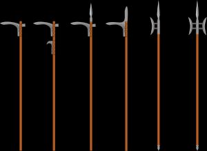 왼쪽 두 개가 과이다.