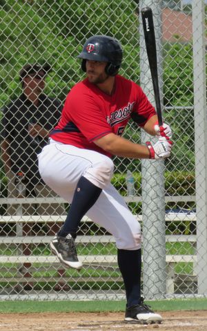 2015년 미네소타 트윈스에서 타격하는 팔카