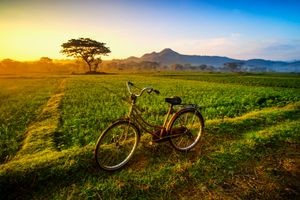 수코하르조군의 논밭. 농업은 중앙 자바에서 가장 중요한 분야 중 하나이다.