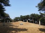 안동김씨 참의공파 세장묘역