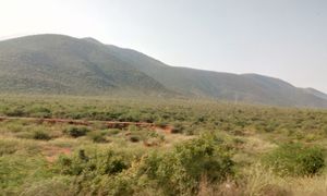 카다파 인근의 팔콘다 언덕