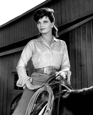 1962년 버지니안에 게스트로 출연