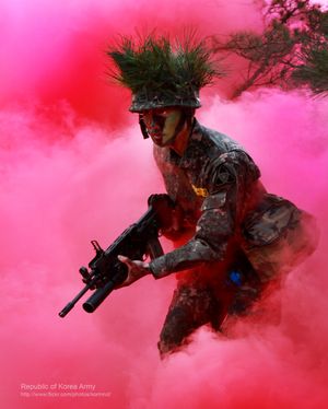 대한민국 육군 신병 훈련, 2014년 5월