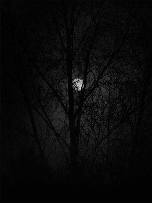 자정에 촬영된 달 사진