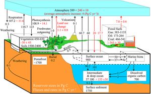 여러 개의 상호 작용하는 상자를 갖는 더 복잡한 모델. 해양에서 육상 유기 탄소의 수출 및 매몰률