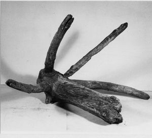 나무 꼭대기로 만든 구식 스칸디나비아식 끌개 (갈고리 닻)는 역사적으로 스칸디나비아 언어에서 krake 또는 krabbe로 알려졌으며, 신화 속 괴물의 명칭의 근원일 가능성이 있다.