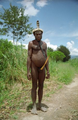 전통적인 코테카(Koteka) 음경 가리개를 착용한 파푸아인(Papuan people) 남성
