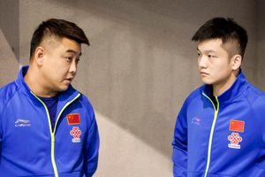 ITTF 월드 투어 2017 독일 오픈에서 왕하오는 판젠둥의 코치로 참가하였다.