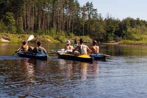 볼샤야콕샤가강