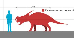 사람과의 크기 비교