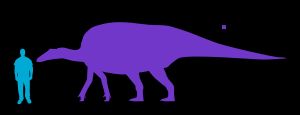 사람과 비교한 오우라노사우루스의 크기