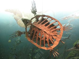 Protostega, Protostegidae<i>의 이름의 유래