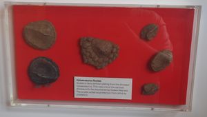 영국에서 발견된 힐라에오사우루스 조각