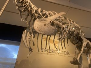 어깨 부위와 팔; 손은 생전에 움직일 수 있는 범위를 넘어 굴곡된 상태로 묘사됨