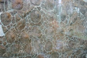 갑옷 근접 촬영, AMNH