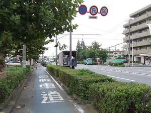 자전거 도로 (가와사키시가와사키구)