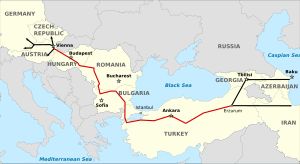 나부코 파이프라인