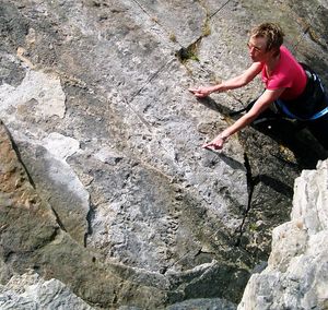 거대 다지류의 화석 발자국, 스코틀랜드 아란 섬의 라간 하버. 이 발자국은 이크노종(ichnospecies) Diplichnites cuithensis의 표본이다.