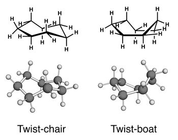 비틀린 의자형 (왼쪽, C2 대칭)과 비틀린 배형 (오른쪽, C2 대칭)