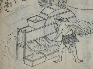 당미노를 사용하는 모습