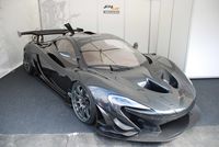 P1 LM