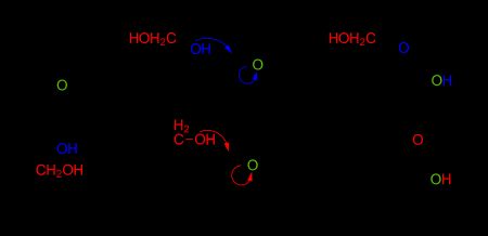 그림 1: 프럭토스의 선형 및 고리형(헤미케탈) 이성질체 간의 관계