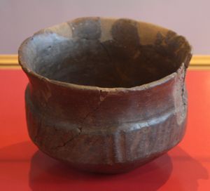 1952년 카네그라테의 산타콜롬바에서 발견된 갈비뼈로 장식된 점토 그릇. 레냐노에 있는 구이도 수터마이스터 박물관에 보존되어 있다