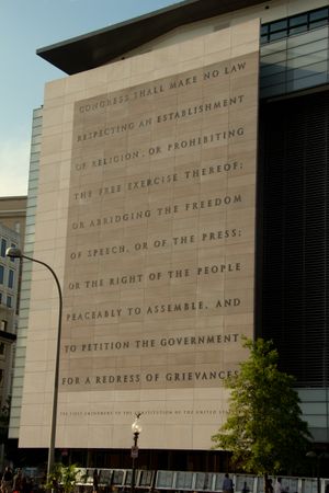 수정헌법 제1조 패널