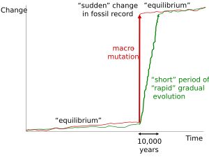 화석 기록에서 관찰되는 진화의 단속적 패턴에 대한 대안적 설명. 거대 돌연변이와 겉보기에 "빠른" 점진적 진화의 에피소드 모두 지질학적 기록에서 10,000년이라는 시간이 거의 기록되지 않기 때문에 순간적인 변화처럼 보일 수 있다.
