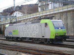 스피츠의 BLS Re 485 014-5, 2006년 2월 18일