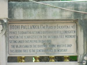 보리수 표지판, 2013