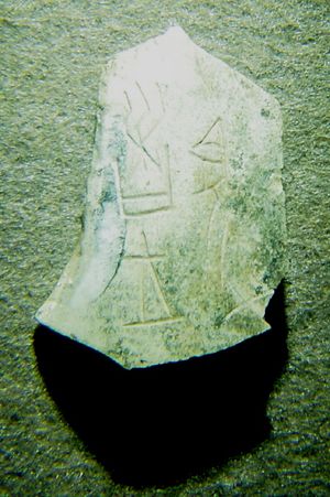 '봄'을 나타내는 문자가 포함된 갑골 문자 조각. 이 문자는 현대의 후손이 알려져 있지 않다.