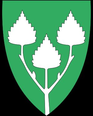 Birkenes kommune