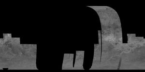 2주기 동안 수집된 "우측 주시" 데이터의 모자이크