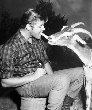 무어가 The Alaskans에 출연