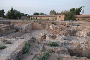 2007년 시타델 언덕 발굴 모습. 시리아 위임 통치령 시대의 병영이 배경으로 보인다.